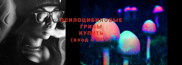 а пвп мука Белокуриха