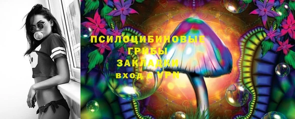 а пвп мука Белокуриха